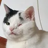 cos_na