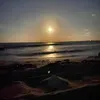 farajessaalsanqari