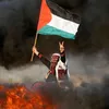 free.palestineeeeeee