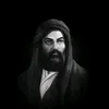 313ali36