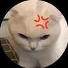 yennhicutes1tg100_
