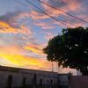 leticia_2201