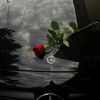 rafiqa___777