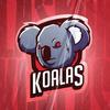 equipo_koalas.sk