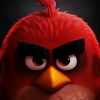 _angrybird777