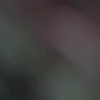 voja_028