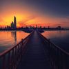 zoooo0q8
