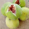 mohammedalamouri6.com