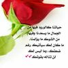 user158777588