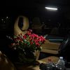 albandri_305