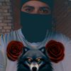wolfoftabor