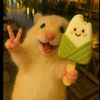 im_youlay
