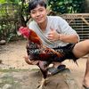 Arif sulistyan