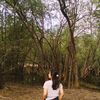 horangi07_