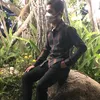 baluan123456