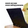 phicys