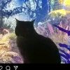 alexsei_80