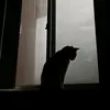 nhyuph