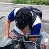stelar_41