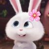 rebecca.recos