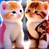 mr.suavi21