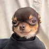 bro_samedi