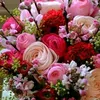 user08qmpaktt9