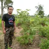 lonboonta