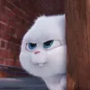 hoangmy_hnm