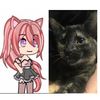 pixel._kat