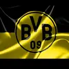 nur_der_bvb09