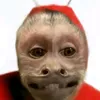 k4nsionez_