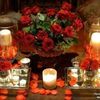 mahmoud98795