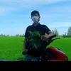 taibake