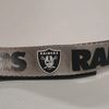 mrraiderman13
