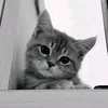 hhhwse34345