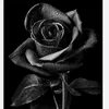 user12155444649095