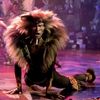 captaintugger