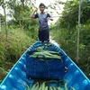 laonongkhanh