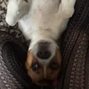 ummmmmmmmellie