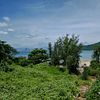hilonhalonehe_9262h