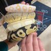 addie_and_reptiles