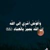 sa33lma2