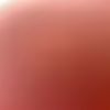muhammad_willi2