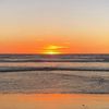 clau_290224