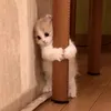 tiredmissu