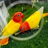 sal_am_313