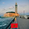 ahmed elamari