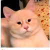 frank_lop23