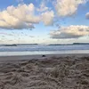 allissonrezende